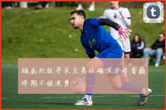 雄鹿积极寻求交易以确保字母哥巅峰期不被浪费