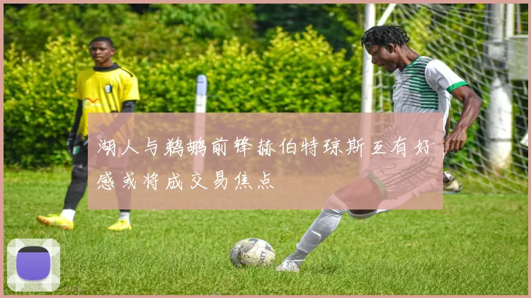 湖人与鹈鹕前锋赫伯特琼斯互有好感或将成交易焦点